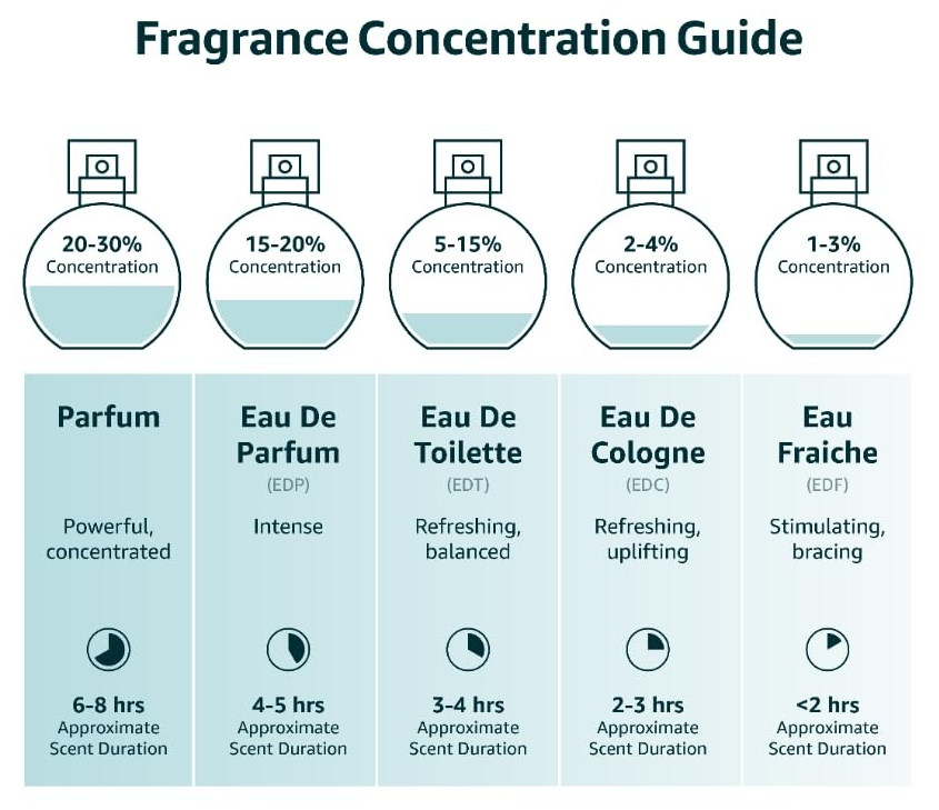 GUÍA DE CONCENTRACIÓN