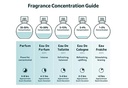 GUÍA DE CONCENTRACIÓN